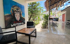 Wild Monkeys Hostel