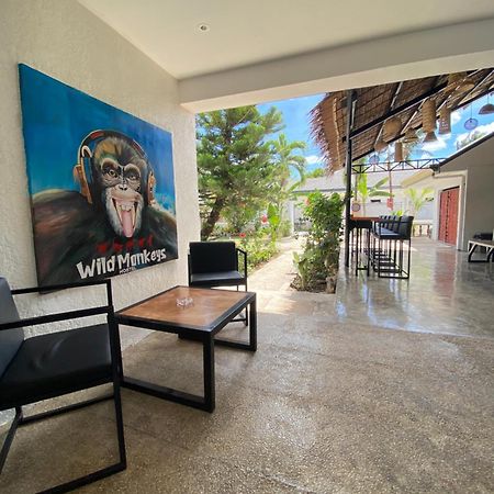 Wild Monkeys Hostel 몰볼 외부 사진