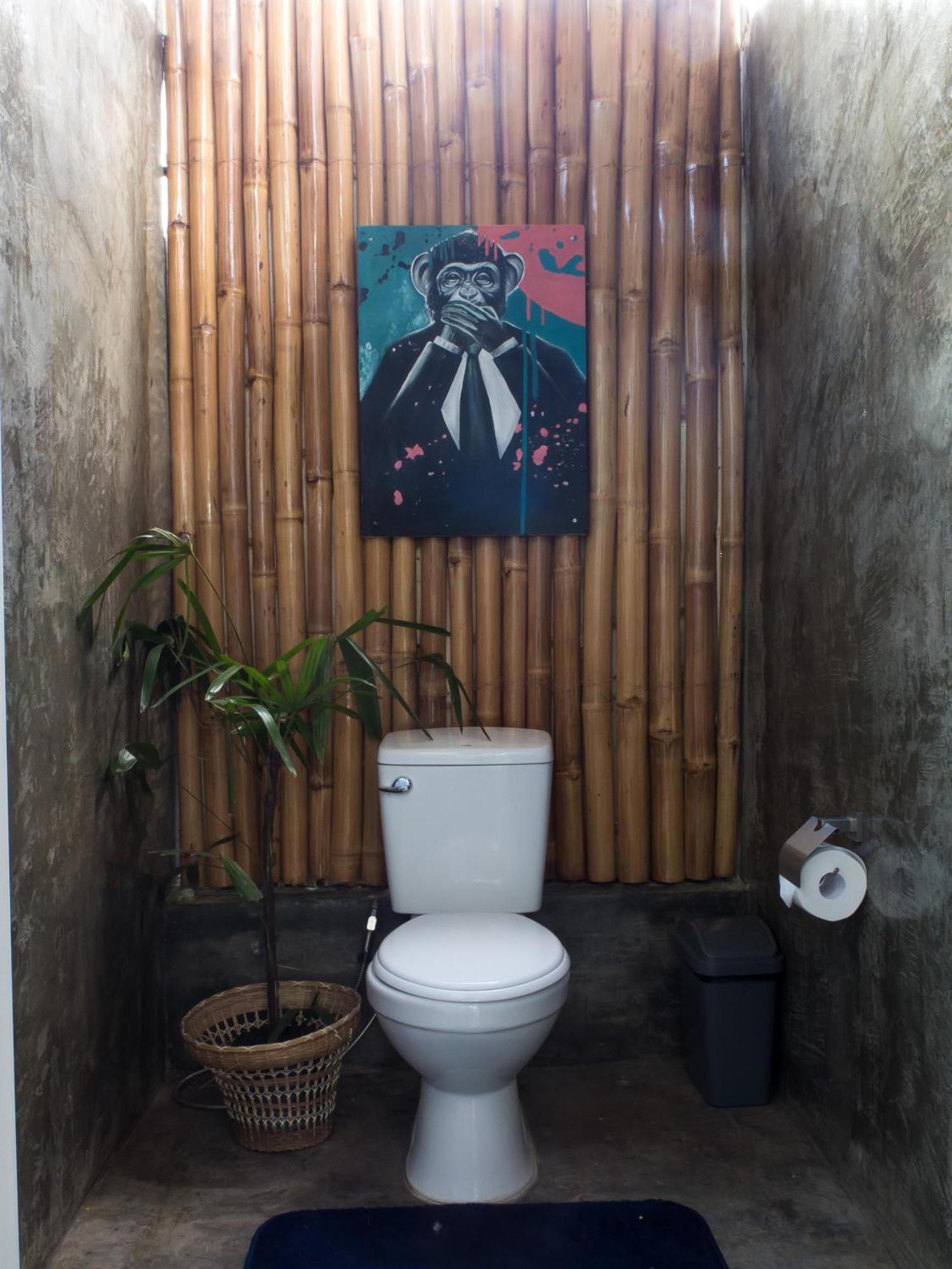 Wild Monkeys Hostel 몰볼 외부 사진