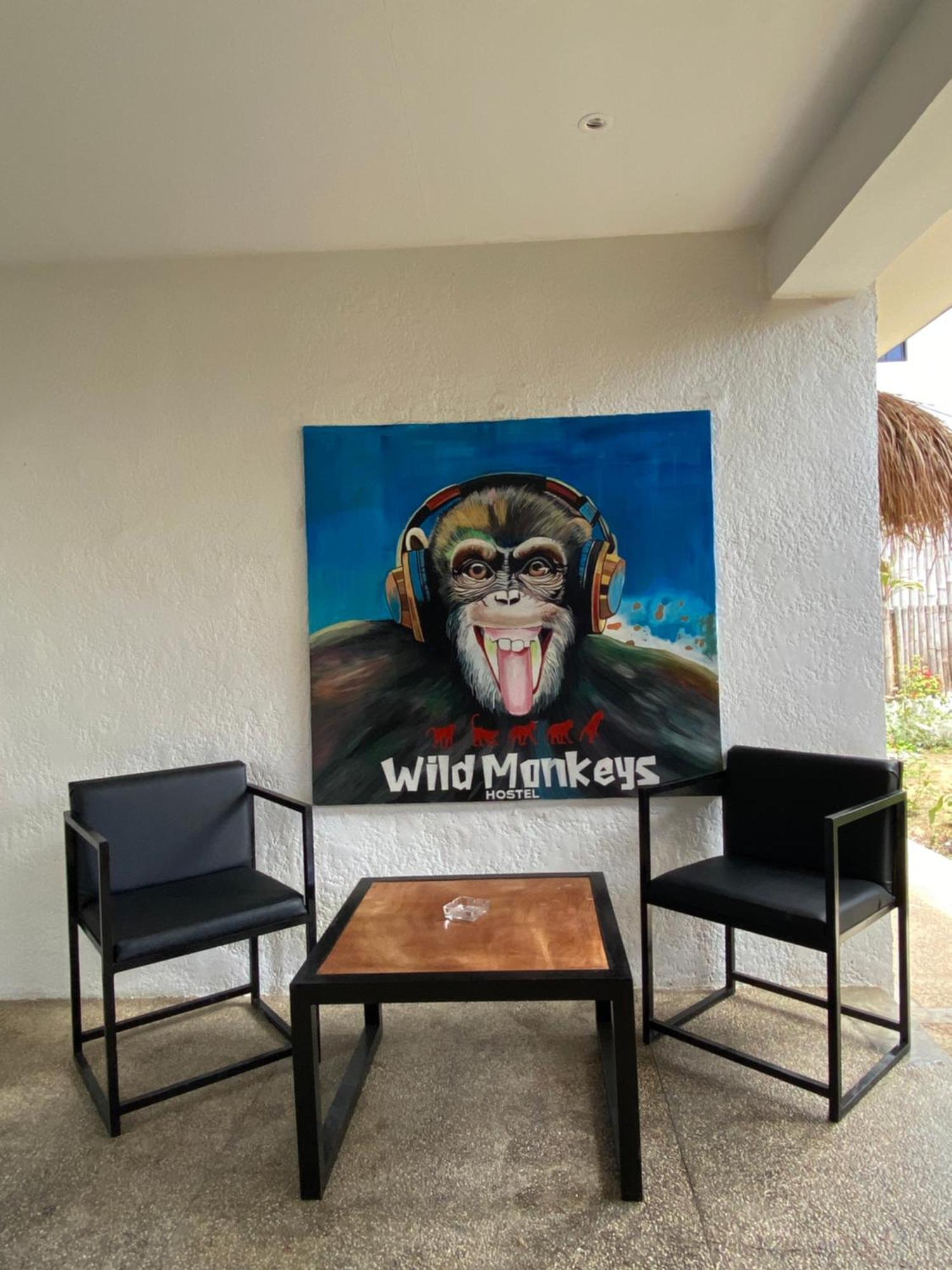 Wild Monkeys Hostel 몰볼 외부 사진